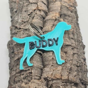 May include: A turquoise blue dog-shaped tag with a silver key ring. The tag has the name "BUDDY" printed in black letters.