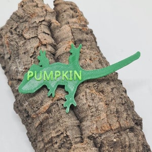 May include: Green 3D printed gecko with the word "PUMPKIN" printed on its back. The gecko is sitting on a piece of bark.