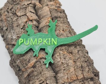 Personalised Crested Gecko Name Tag