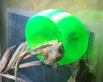 Juvenile Gecko Hide - Suction Cup