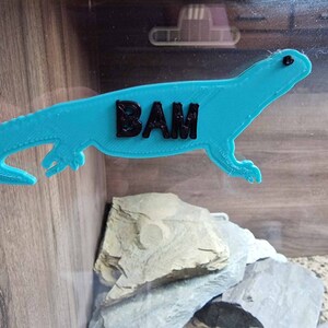 May include: A turquoise blue 3D printed lizard with the word "BAM" printed on its back.