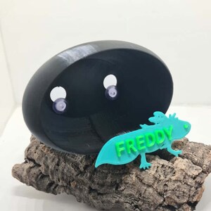 May include: A black 3D printed axolotl hide with two holes for ventilation. A turquoise blue axolotl figurine with the name "FREDDY" printed on it is in the foreground.