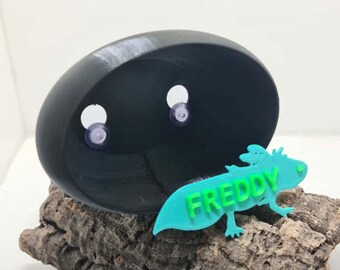 Axolotl Cave & Name Tag Bundle