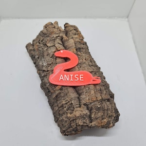 Personalised Snake Name Tag