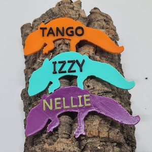 May include: Three colourful gecko-shaped name tags with the names "Tango", "Izzy", and "Nellie" written on them. The tags are arranged in a stack on a piece of cork bark.