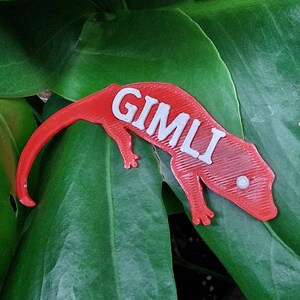 May include: A red 3D printed gecko with the name "Gimli" printed in white on its back.