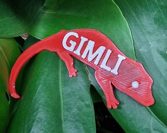 Personalised Gargoyle Gecko Name Tag