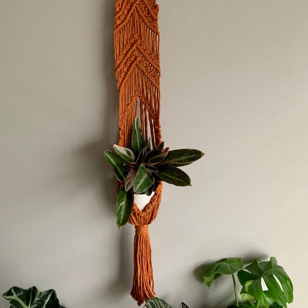 Basket Style Macrame Plant Hanger-*NEW* colors available