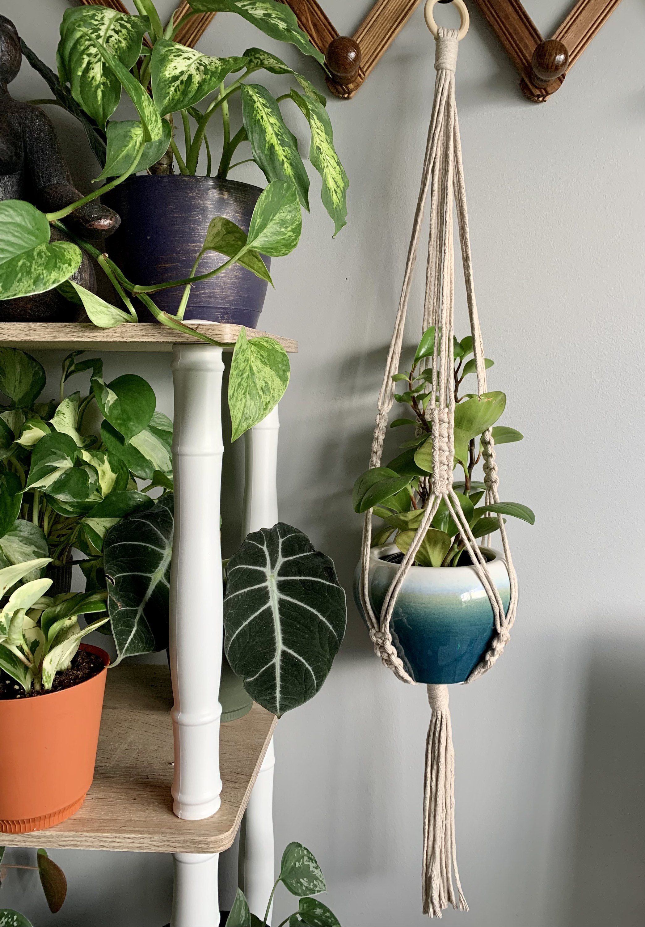 Minimalist Macrame Plant Hanger Eco-Friendly Cotton Rope Holder Boho Home Decor