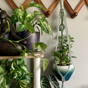 Green Fluorite crystal Macrame plant hanger with