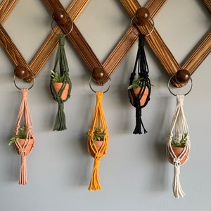 Mini macrame plant hanger