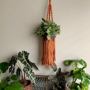 May include: A macrame plant hanger with a terracotta colored cord and fringe. The hanger is holding a potted plant with green leaves. There are three other potted plants on a white surface.