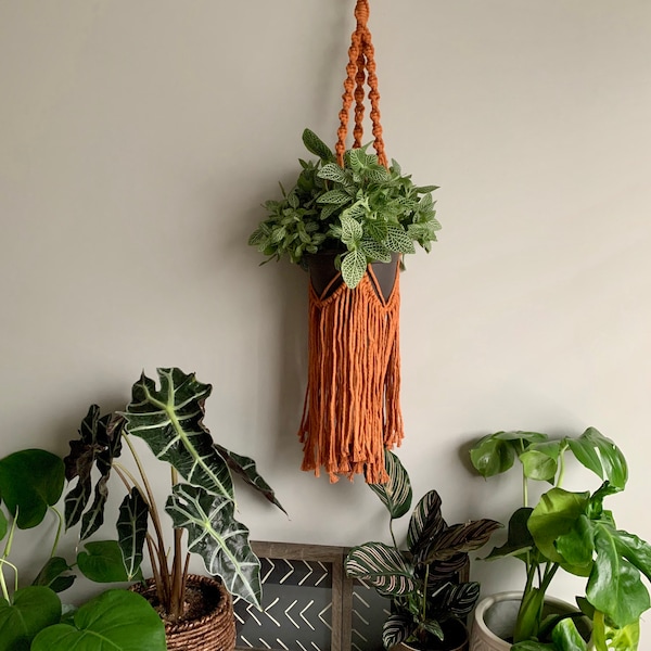 Fringe Macrame Plant Hanger-*NEW* colors available