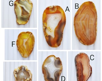 May include: Assortment of ten agate slices in various shapes and sizes. The slices are in shades of brown, orange, and white with intricate patterns.
