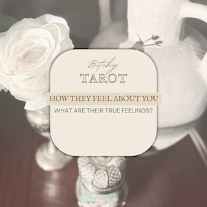 May include: A cream-coloured, rounded rectangle with the words "Bitchy Tarot" and the phrases "How They Feel About You" and "What Are Their True Feelings?" in dark brown text. The background includes a white rose and a white vase.