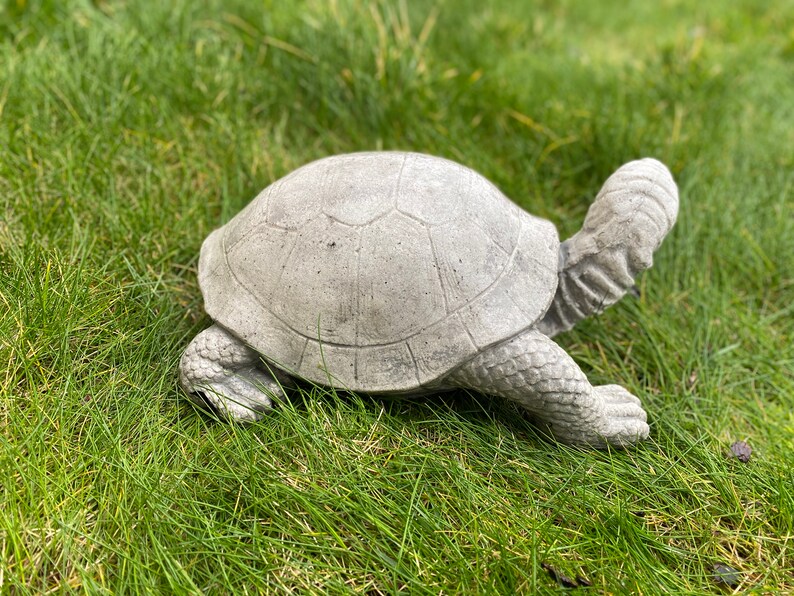 outdoor tortoise statue