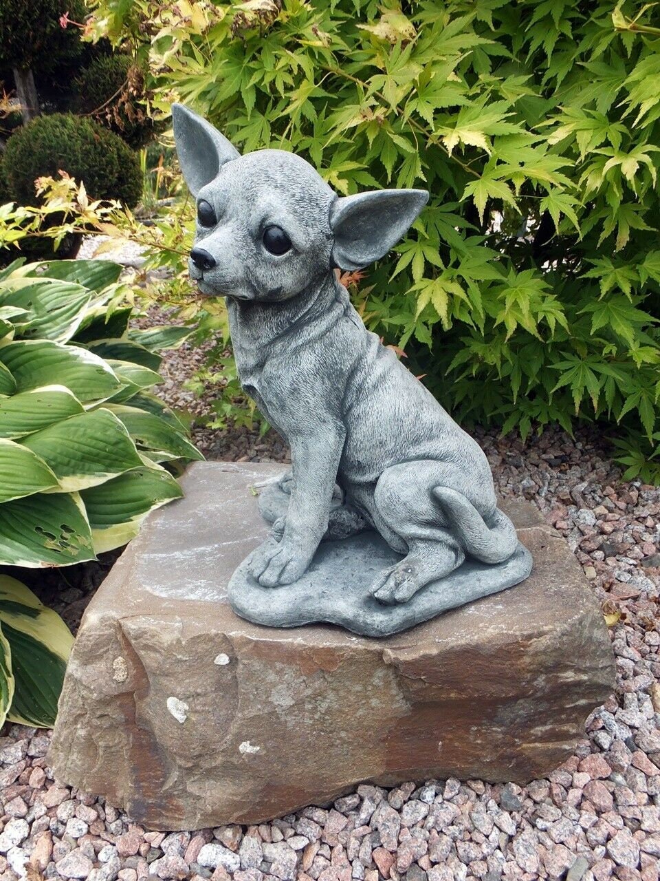multi colored chihuahua statue