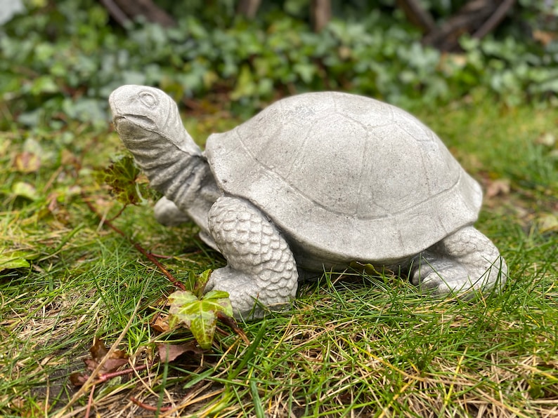 outdoor tortoise statue
