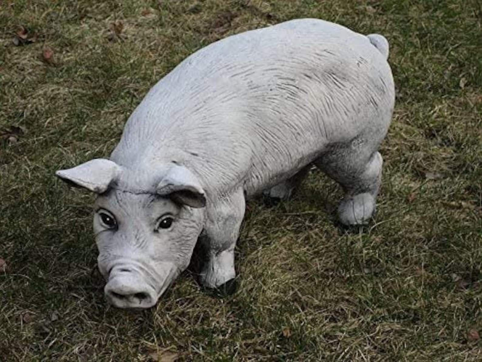 Stone pig statue cement pig decor for house pig statues Etsy