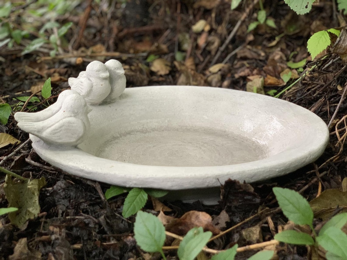 Large Drinking Bowl Concrete Bird Feeder Drinkinf Bowl For Etsy