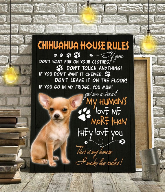 Chihuahua house rules pitbull canvas Etsy