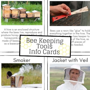 Cartes d'information sur les outils d'apiculture, cartes flash Montessori, informations sur l'apiculture