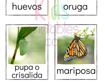 SPANISH Butterfly Life Cycle - Safari LTD Identification Cards