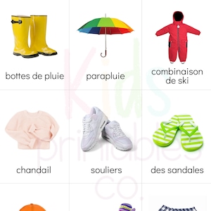 What to Wear? Identification Photograph Cards - French