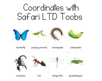 Insects Toob - Safari LTD Identification Cards