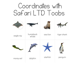 Ocean - Safari LTD Identification Cards