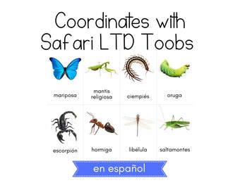 SPANISH - Insects Toob - Safari LTD Identification Cards