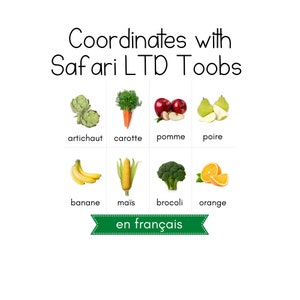 FRENCH - Fruits & Vegetables Toob - Safari LTD Identification Cards