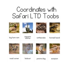 Desert Toob - Safari LTD Identification Cards