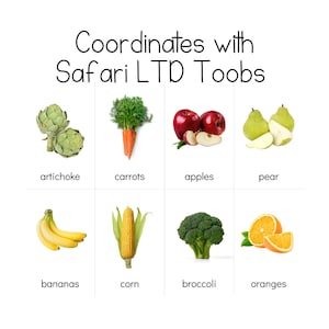 Obst & Gemüse Toob - Safari LTD Identifikationskarten