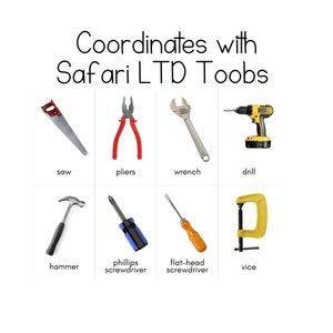 ツールトゥーブ - Safari LTD 身分証明書