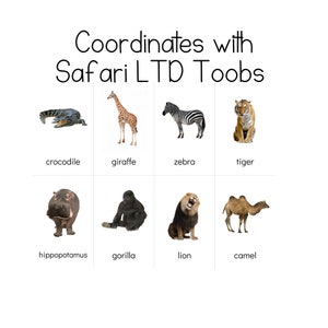 Wild Toob - Cartes d'identification Safari LTD
