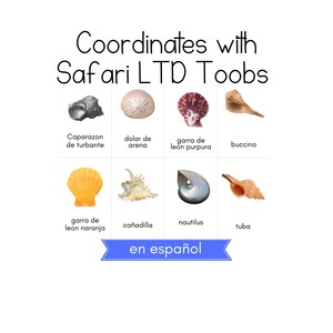 May include: A colorful chart with images of different seashells and their names in Spanish. The chart is titled "Coordinates with Safari LTD Toobs" and "en español".