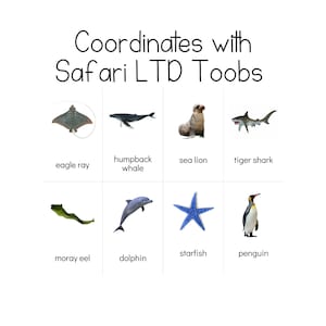 Ocean - Safari LTD-identificatiekaarten