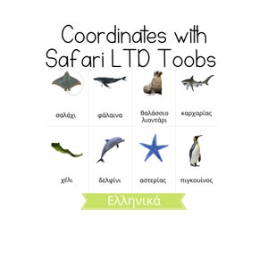 GREEK - Ocean - Safari LTD Ausweise