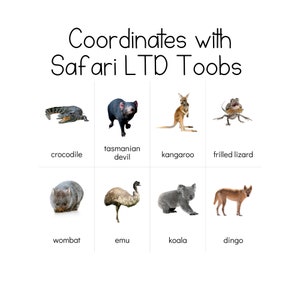The Land Down Under - Safari LTD-identificatiekaarten