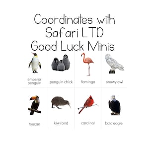 Birds 'Fun Pack' - Cartes d'identification Safari LTD - Good Luck Minis