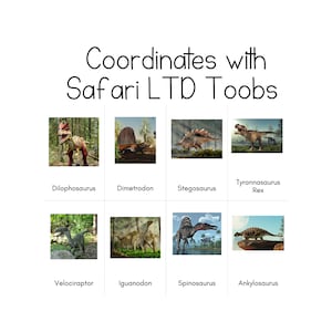Toob Dinos - Cartes d'identification Safari LTD