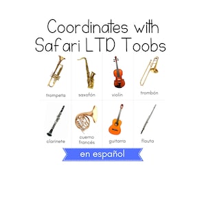 SPANISH - Musical Instruments Toob - Safari LTD Identification Cards