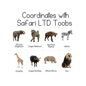 Toob Animaux d'Afrique du Sud - Cartes d'identification Safari LTD