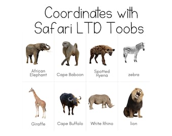 South African Animals Toob Safari LTD Identification Cards - Etsy South African Animals Toob Safari LTD Identification Cards - Etsy
