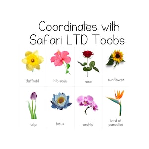 Flowers Toob - Cartões de identificação Safari LTD