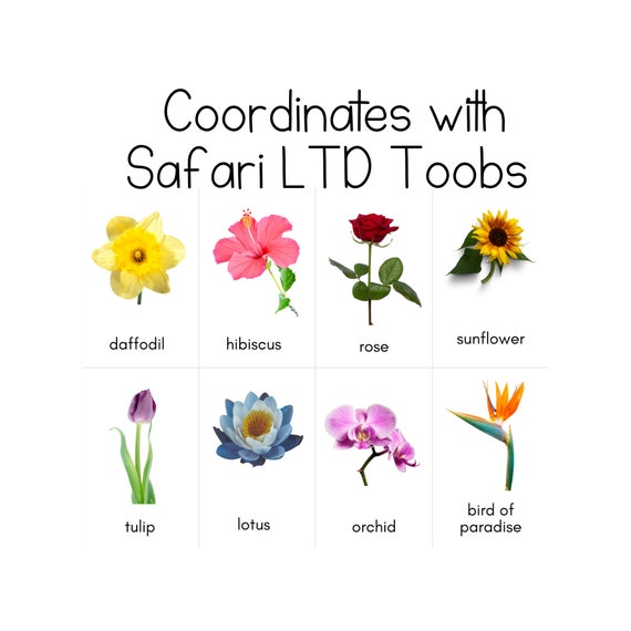 Flowers Toob - Safari LTD Identification Cards - Etsy