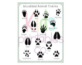 Animal Tracks Poster - Etsy