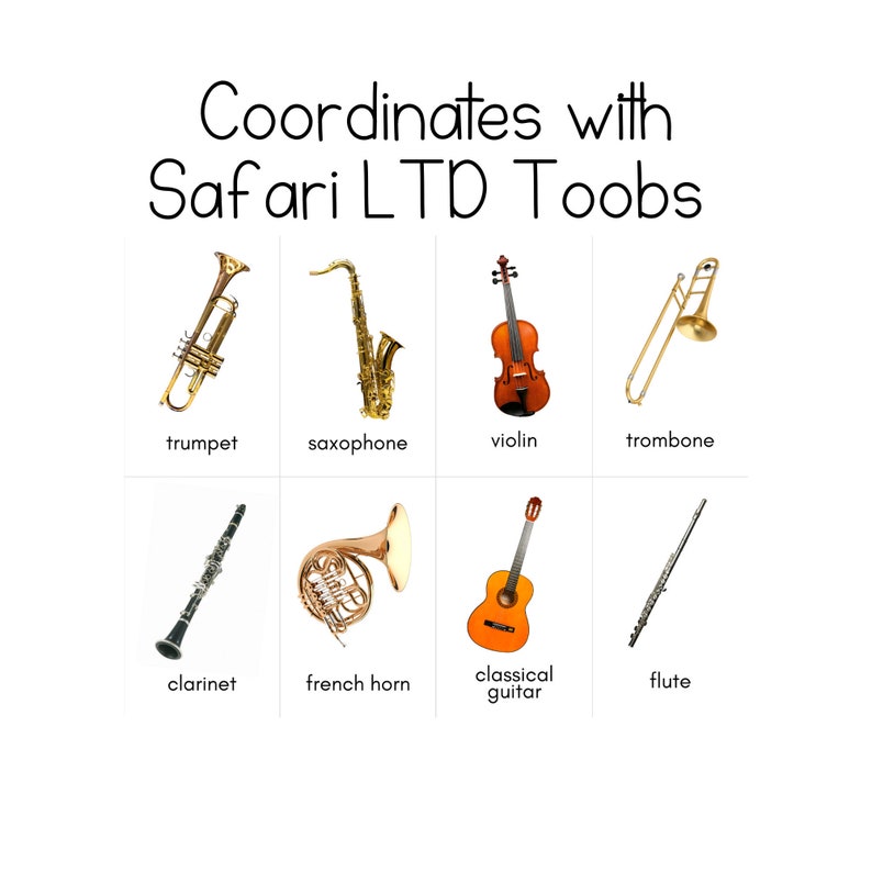 Musical Instruments Toob Safari LTD Identification Cards Etsy