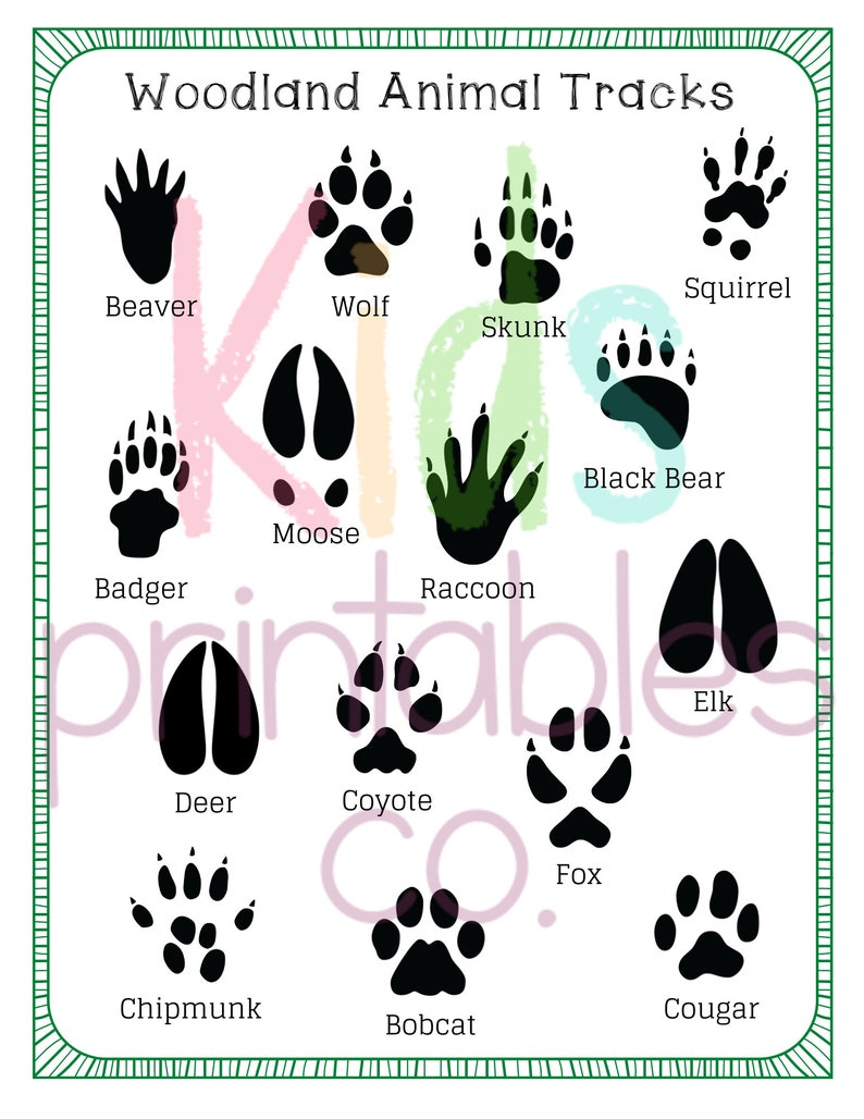 Animal Tracks Poster Letter Sizes Printable | Etsy